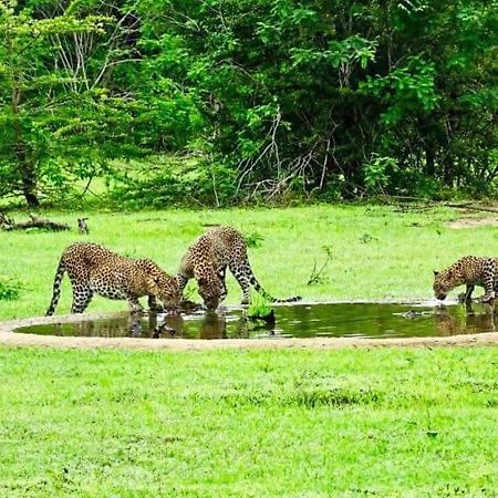Yala Leopard Mobile Camp Hotel Екстериор снимка